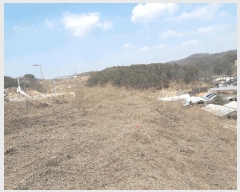  2025Ÿ��1337 ����Ư����ġ�� �屺�� �뱳�� 370-46       ����(����)���