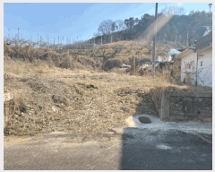  2025Ÿ1719 泲 ⱺ  ָ 145-8      ()