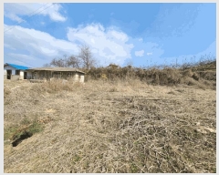  2025Ÿ1719 泲 ⱺ  ָ 145-8      ()