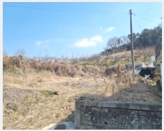  2025Ÿ1719 泲 ⱺ  ָ 145-8      ()