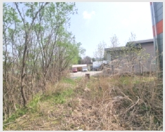  2025Ÿ1825   Ȼ굿 294       (1)