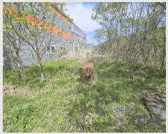  2025Ÿ1825   Ȼ굿 294       (1)