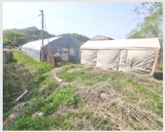  2025Ÿ1825   Ȼ굿 294       (1)