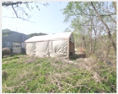  2025Ÿ1825   Ȼ굿 294       (1)