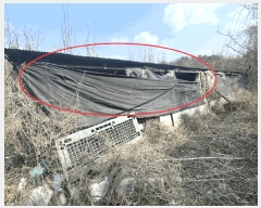  2025Ÿ��2460  �����