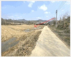  2025Ÿ��2460  �����