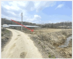  2025Ÿ��2460  �����