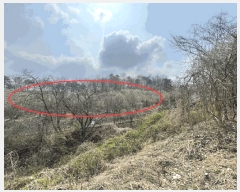  2025Ÿ��2460  �����