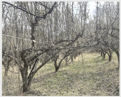  2025Ÿ��2460  �����