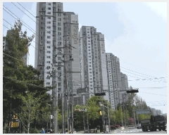  2025Ÿ��2705 ���� �߱� ���� 389-5 �Ķ�����Ʈ 303�� 13��1303ȣ    ����Ʈ���