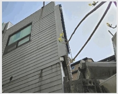  2025Ÿ��2927 ���� ������ ������ 540-18 �����Ϸ�3�� 8��813ȣ     ����Ʈ���