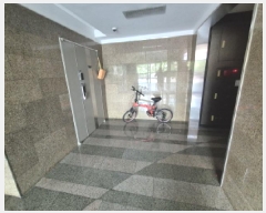  2025Ÿ��3556  ����Ʈ���