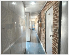  2025Ÿ��3613  �ٰ������ð��