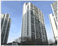  2025Ÿ��3731 ���� �߱� ���̵� 283 �ϴþ���Ʈ 305�� 904ȣ    ����Ʈ���