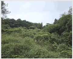  2025Ÿ��3858 ����Ư����ġ��  ������ ���̸� ��34-7      ����(�Ӿ�)���