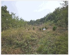  2025Ÿ��3908  �����