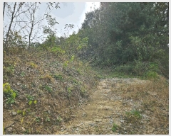  2025Ÿ��3908  �����