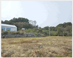  2025Ÿ��3908  �����