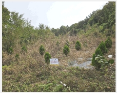  2025Ÿ��3908  �����