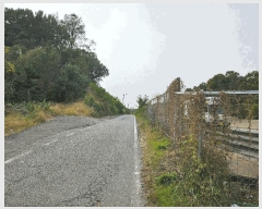  2025Ÿ��3908  �����