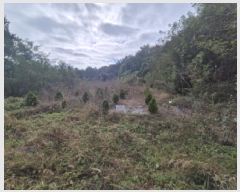  2025Ÿ��3908  �����