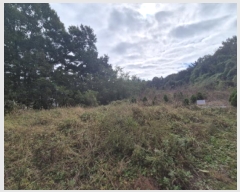  2025Ÿ��3908  �����