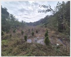  2025Ÿ��3908  �����