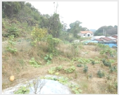  2025Ÿ��3928 ����Ư����ġ�� ������ ��ϸ� 73-10       ����(��1)���