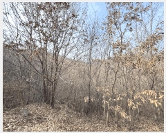  2025Ÿ��4005  �Ӿ߰��