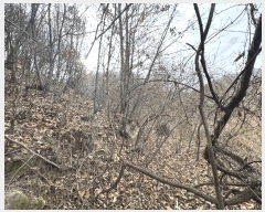  2025Ÿ��4005  �Ӿ߰��