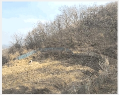  2025Ÿ��4005  �Ӿ߰��