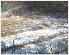  2025Ÿ��4005  �Ӿ߰��