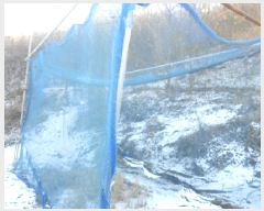  2025Ÿ��4005  �Ӿ߰��