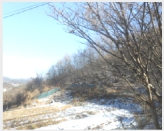  2025Ÿ��4005  �Ӿ߰��