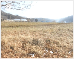  2025Ÿ500742 Ưġ Ǹ  257       ()