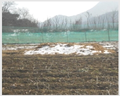  2025Ÿ500742 Ưġ Ǹ  257       ()