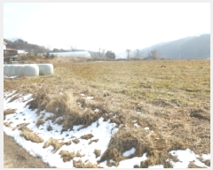  2025Ÿ500742 Ưġ Ǹ  257       ()