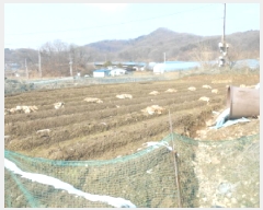  2025Ÿ500742 Ưġ Ǹ  257       ()