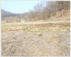  2025Ÿ500742 Ưġ Ǹ  257       ()