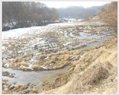  2025Ÿ500742 Ưġ Ǹ  257       ()