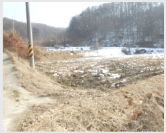  2025Ÿ500742 Ưġ Ǹ  257       ()