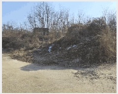  2025Ÿ��501726  �Ӿ߰��