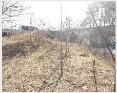  2025Ÿ��501726  �Ӿ߰��