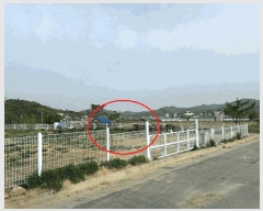  2025Ÿ��502179  �����