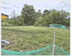  2025Ÿ��502280  ����