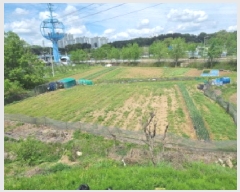  2025Ÿ��502280  ����