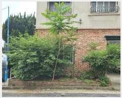  2025Ÿ��502432  �ٸ����ð��