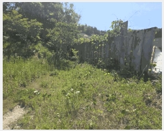  2025Ÿ��502445 �泲 �ݻ걺 ���ϸ� ������ 556-1      ����(��1)���