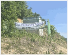  2025Ÿ��502445 �泲 �ݻ걺 ���ϸ� ������ 556-1      ����(��1)���