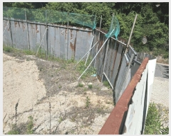  2025Ÿ��502445 �泲 �ݻ걺 ���ϸ� ������ 556-1      ����(��1)���